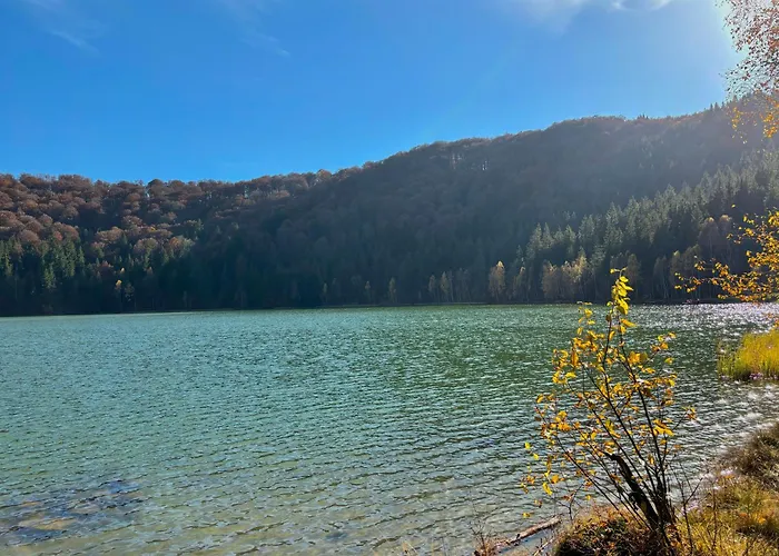 Pensiunea Iris BaileTusnad